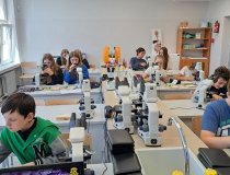 Koło biologiczne w EPT i ECE